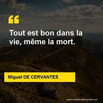 Citation Miguel DE CERVANTES