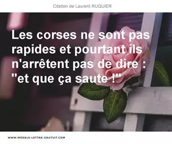 Citations Laurent RUQUIER