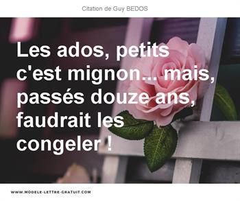 Citations Guy BEDOS