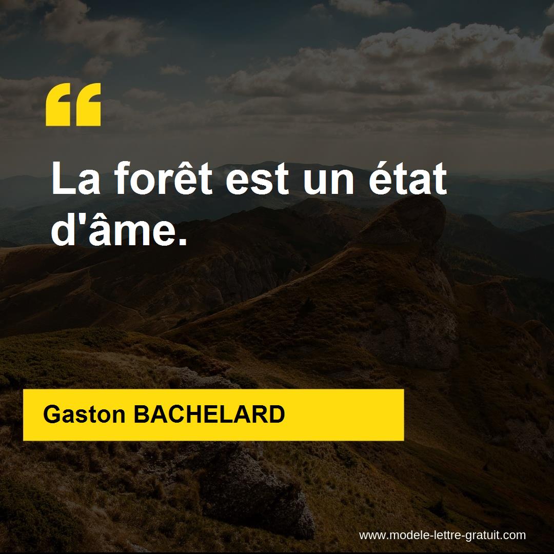 Gaston Bachelard A Dit La Foret Est Un Etat D Ame