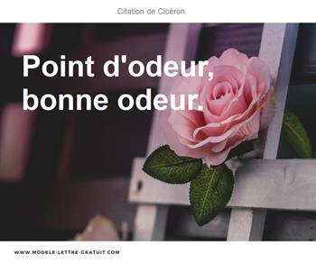 Ciceron A Dit Point D Odeur Bonne Odeur