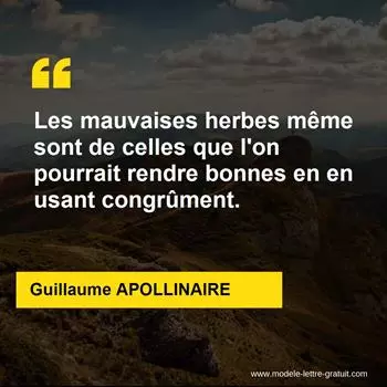 Citation Guillaume APOLLINAIRE