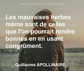 Citation de Guillaume APOLLINAIRE