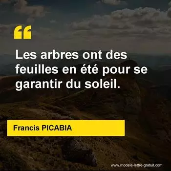 Citation Francis PICABIA