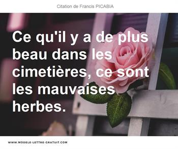 Citations Francis PICABIA