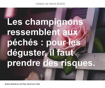Citations Hervé BAZIN