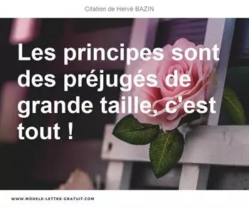 Citations Hervé BAZIN