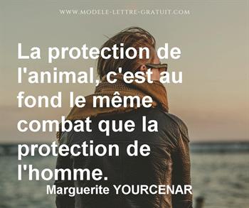 La Protection De L Animal C Est Au Fond Le Meme Combat Que La Marguerite Yourcenar