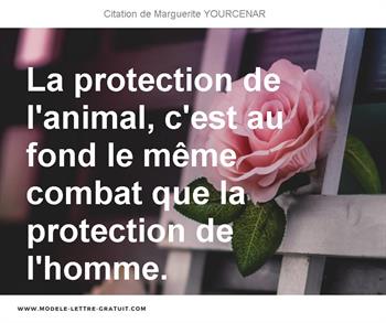 La Protection De L Animal C Est Au Fond Le Meme Combat Que La Marguerite Yourcenar