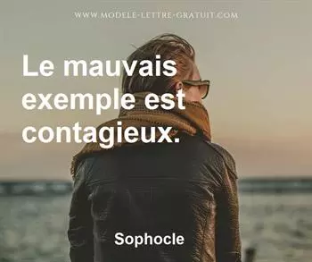 Citation de Sophocle