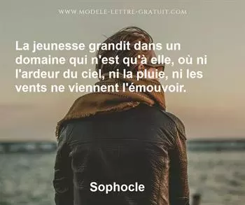 Citation de Sophocle