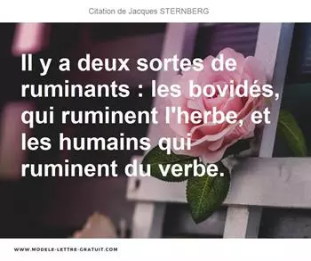 Citations Jacques STERNBERG