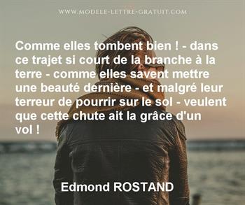 Citation de Edmond ROSTAND
