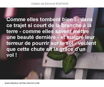 Citations Edmond ROSTAND