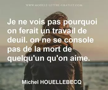 Citation de Michel HOUELLEBECQ