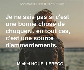 Citation de Michel HOUELLEBECQ