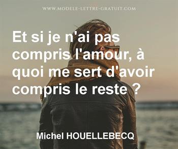 Et Si Je N Ai Pas Compris L Amour A Quoi Me Sert D Avoir Michel Houellebecq