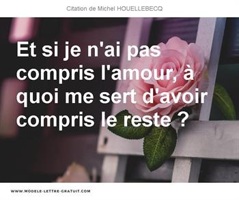 Et Si Je N Ai Pas Compris L Amour A Quoi Me Sert D Avoir Michel Houellebecq