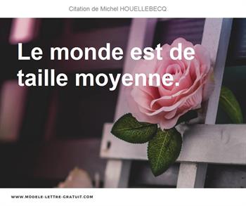 Citations Michel HOUELLEBECQ