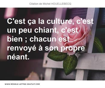 Citations Michel HOUELLEBECQ