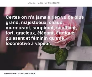 Citations Michel TOURNIER