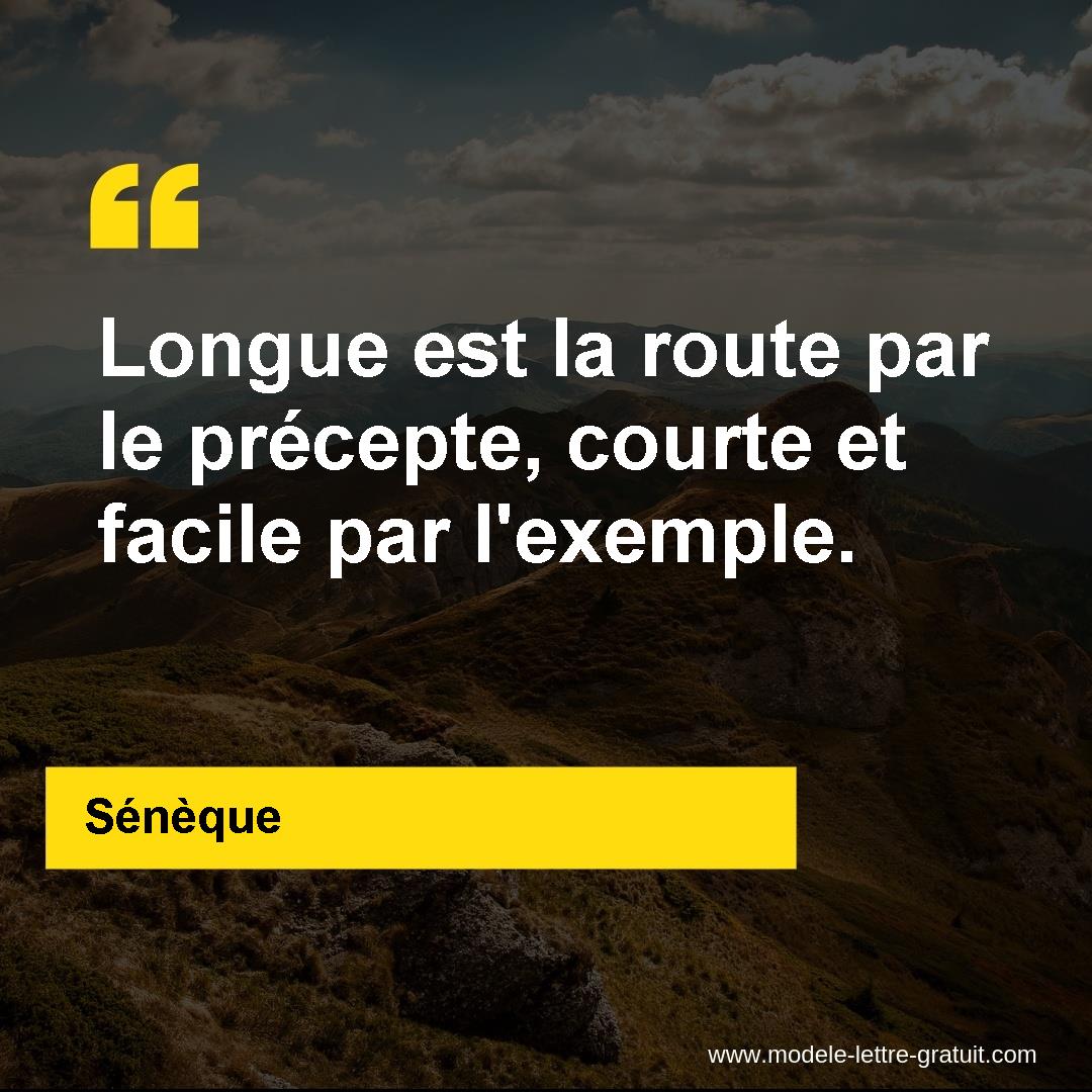 Longue Est La Route Par Le Precepte Courte Et Facile Par Seneque