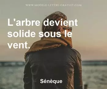 Citation de Sénèque