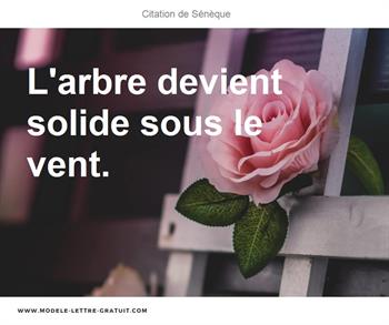 Citations Sénèque