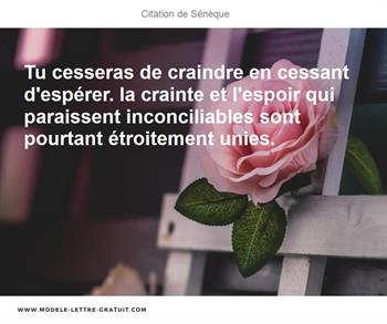 Tu Cesseras De Craindre En Cessant D Esperer La Crainte Et Seneque