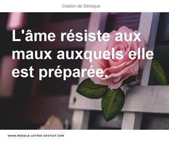 Citations Sénèque