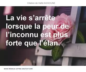 Citations Hafid AGGOUNE