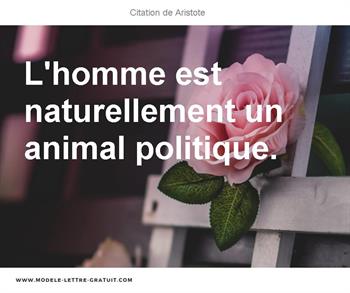 Aristote A Dit L Homme Est Naturellement Un Animal Politique