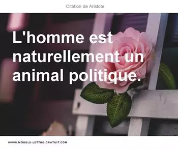 Citations Aristote