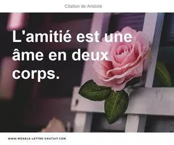 Citations Aristote