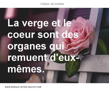 Citations Aristote