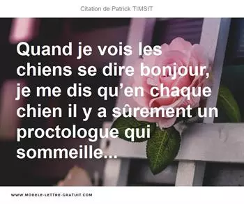 Citations Patrick TIMSIT