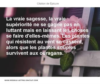 Citations Épicure