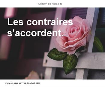 Citations Héraclite