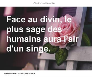 Face Au Divin Le Plus Sage Des Humains Aura L Air D Un Singe