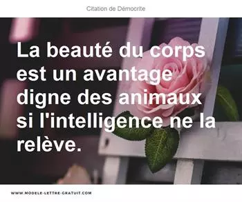 Citations Démocrite
