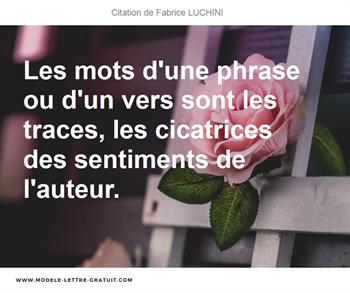 Citations Fabrice LUCHINI