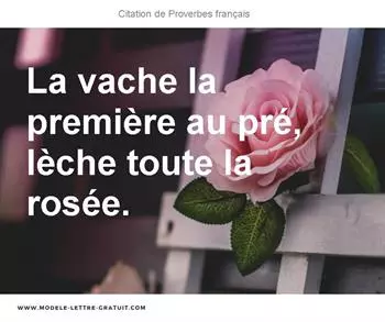 Citations Proverbes français
