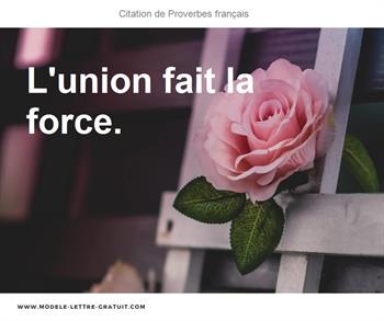 Citations Proverbes français