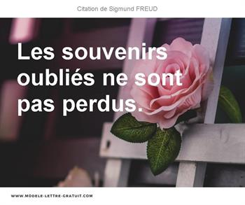 Citations Sigmund FREUD
