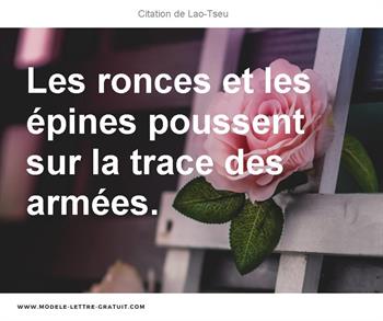 Citations Lao-Tseu