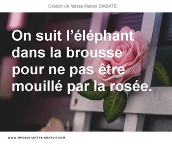 Citations Massa Makan DIABATÉ