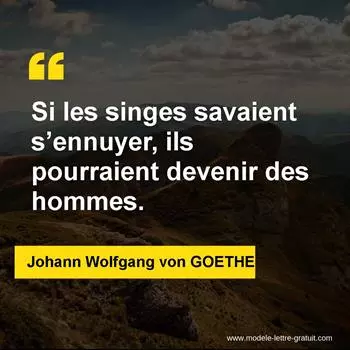 Citation Johann Wolfgang von GOETHE
