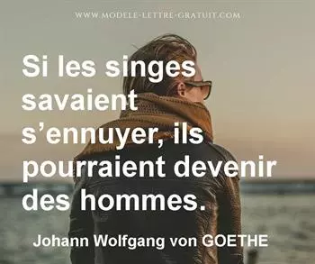 Citation de Johann Wolfgang von GOETHE