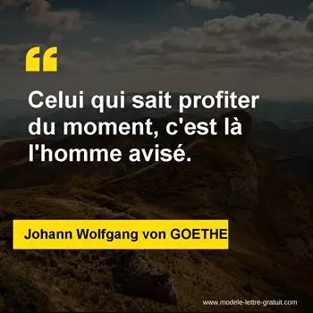 Citation Johann Wolfgang von GOETHE