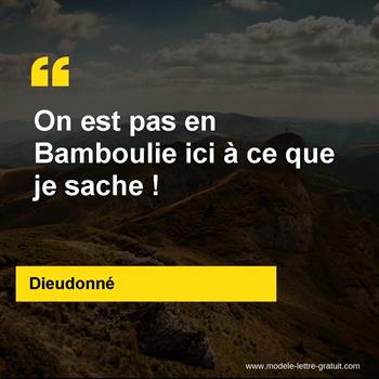 Citation de Dieudonné